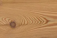 Vorschaubild des Artikels : Lärche