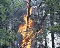 Vorschaubild des Artikels : Das Feuer - die Klimaschwankungen - die Sonne