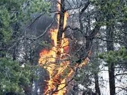 Das Feuer - die Klimaschwankungen - die Sonne