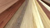 Vorschaubild des Artikels : Die Klassifizierung der verschiedenen Holzarten