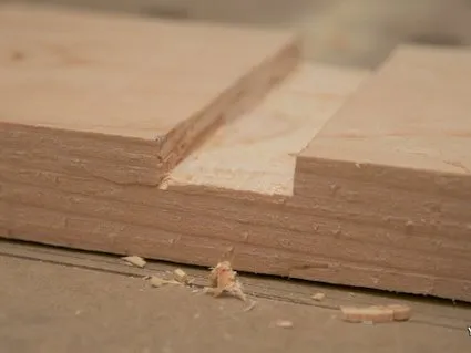 Herstellen einer Gratnut senkrecht zum Jahresringen