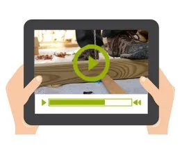 Video 8