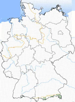 Lärchenproduktionsfläche